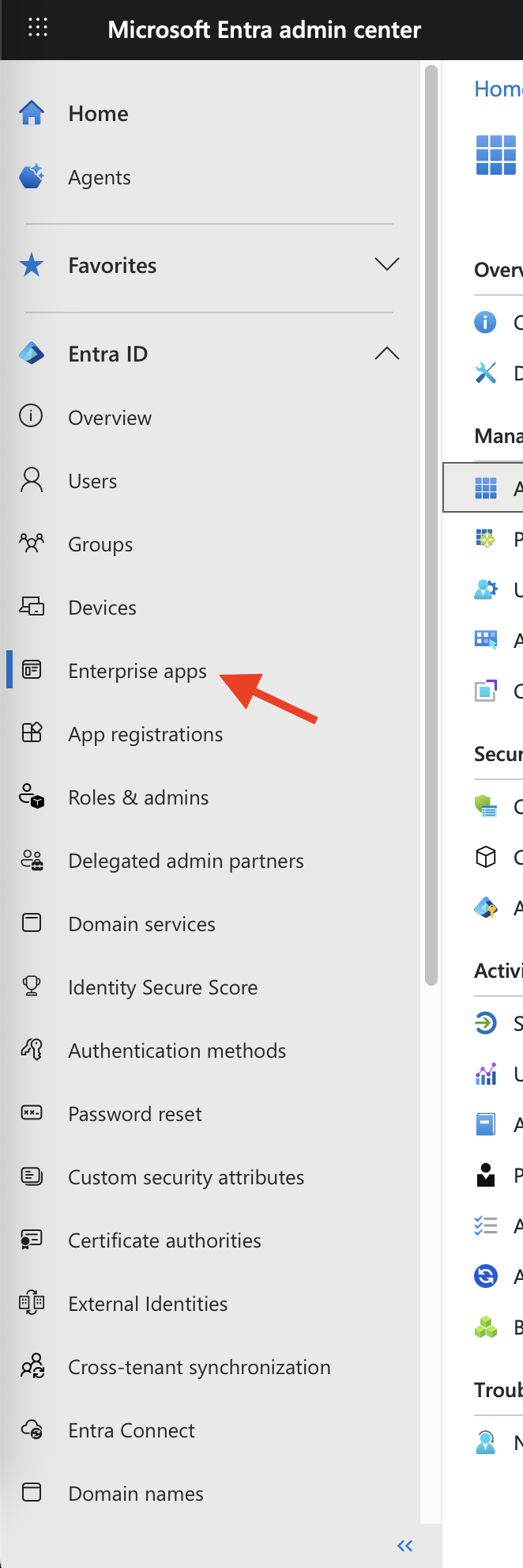 Microsoft Entra Admin Center - Enterprise app